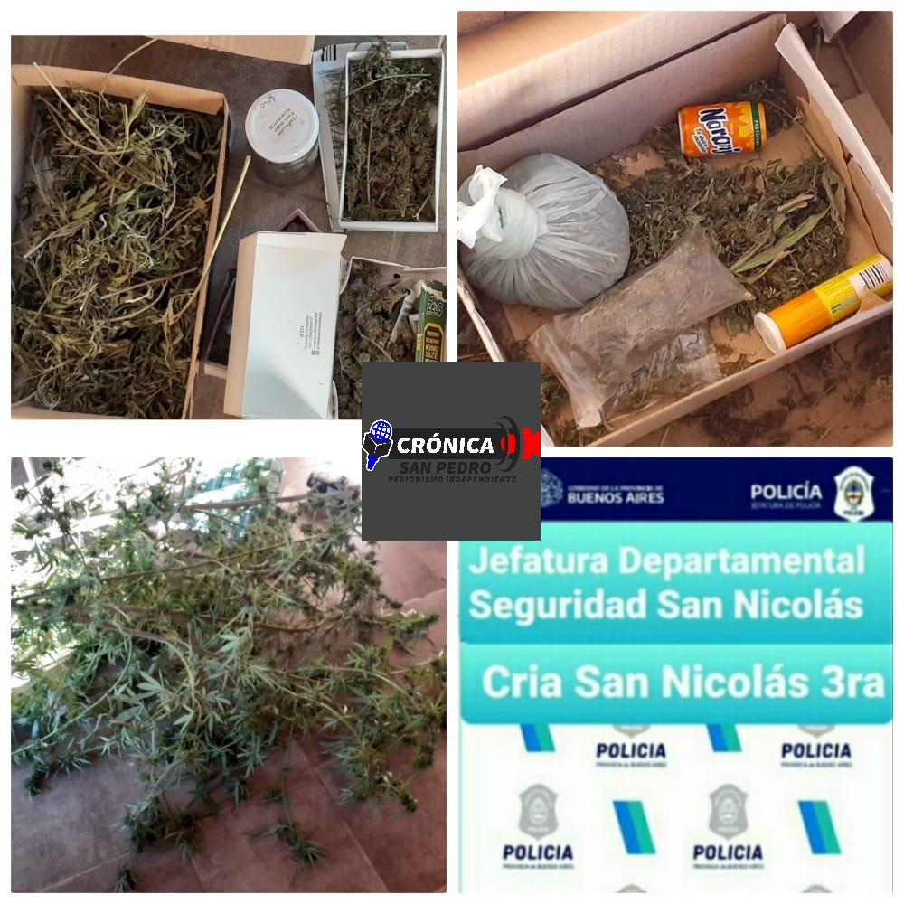 SAN NICOLAS: incautaron droga en allanamiento