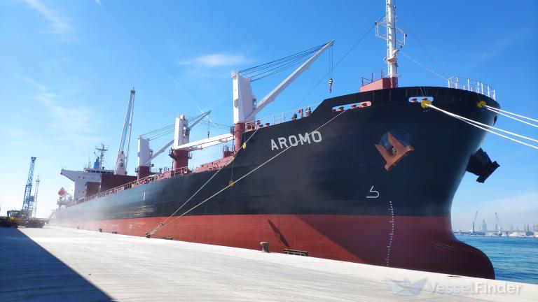 Puerto San Pedro: ingresó un buque con bandera de Panamá