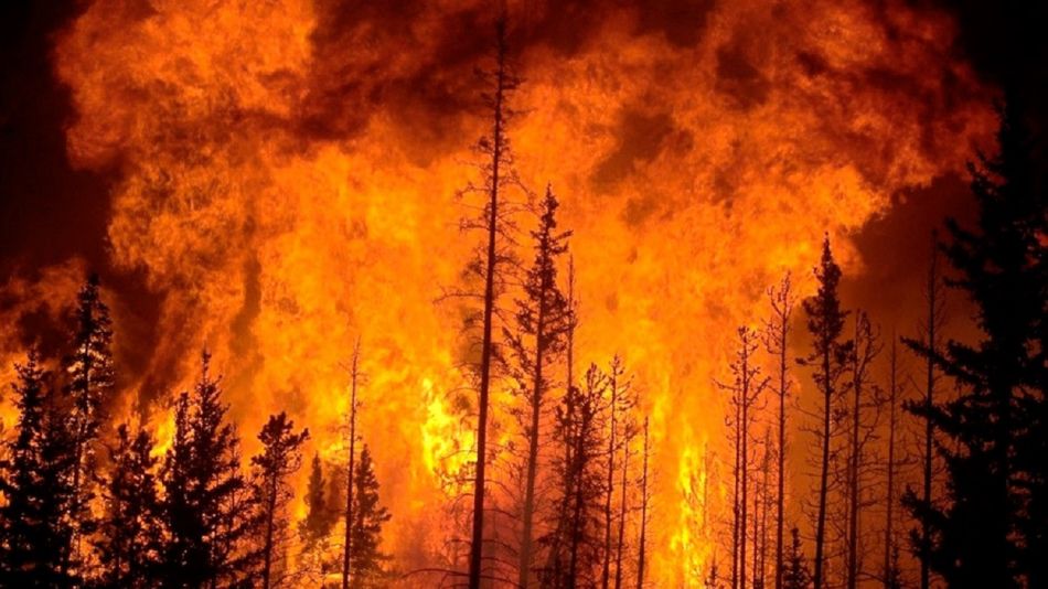 El infierno queda en Chile: 206 incendios activos, 26 muertos y mas de 1000 personas heridas