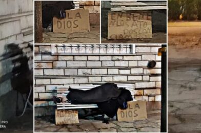 Indigencia: un hombre durmiendo en un banco y un mensaje entre cartones