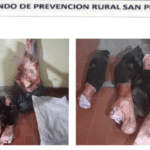 Investigan caso de abigeato en La Matilde: un menor implicado