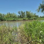 Sin rastros del supuesto hombre que habría caído al riacho en el Paseo Público 2