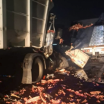 Caos y tragedia en Ruta 9: un muerto tras chocar un camión contra un micro