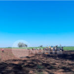 Detectaron a 38 trabajadores rurales sin registrar en un campo de Gobernador Castro