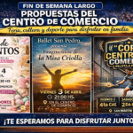 Fin de semana largo con feria, cultura y deporte en el Centro de Comercio