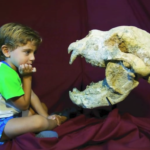 EL OSO GIGANTE DE SAN PEDRO EN UN ESTUDIO SOBRE LOS OSOS FÓSILES DE VENEZUELA