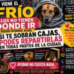 Piden conciencia y acciones urgentes ante el frío: fuerte reclamo por los animales callejeros en San Pedro