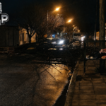 Un árbol se desplomó sobre la vía pública y movilizó un operativo municipal