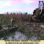 Rescataron del olvido una historia única: el Museo Paleontológico recibió imágenes inéditas del operativo que recuperó las dragalinas de Lechiguanas