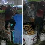 Barrio Banfield: violentaron una reja y robaron herramientas de una vivienda