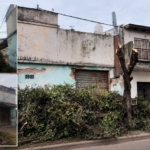 Reporte Ciudadano: vecinos agradecieron la rápida respuesta ante el reclamo por los árboles de Pellegrini y Caseros